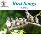 Bird Songs Recorded 1927 - 1935 CD271